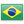 Portuguese Brazilian